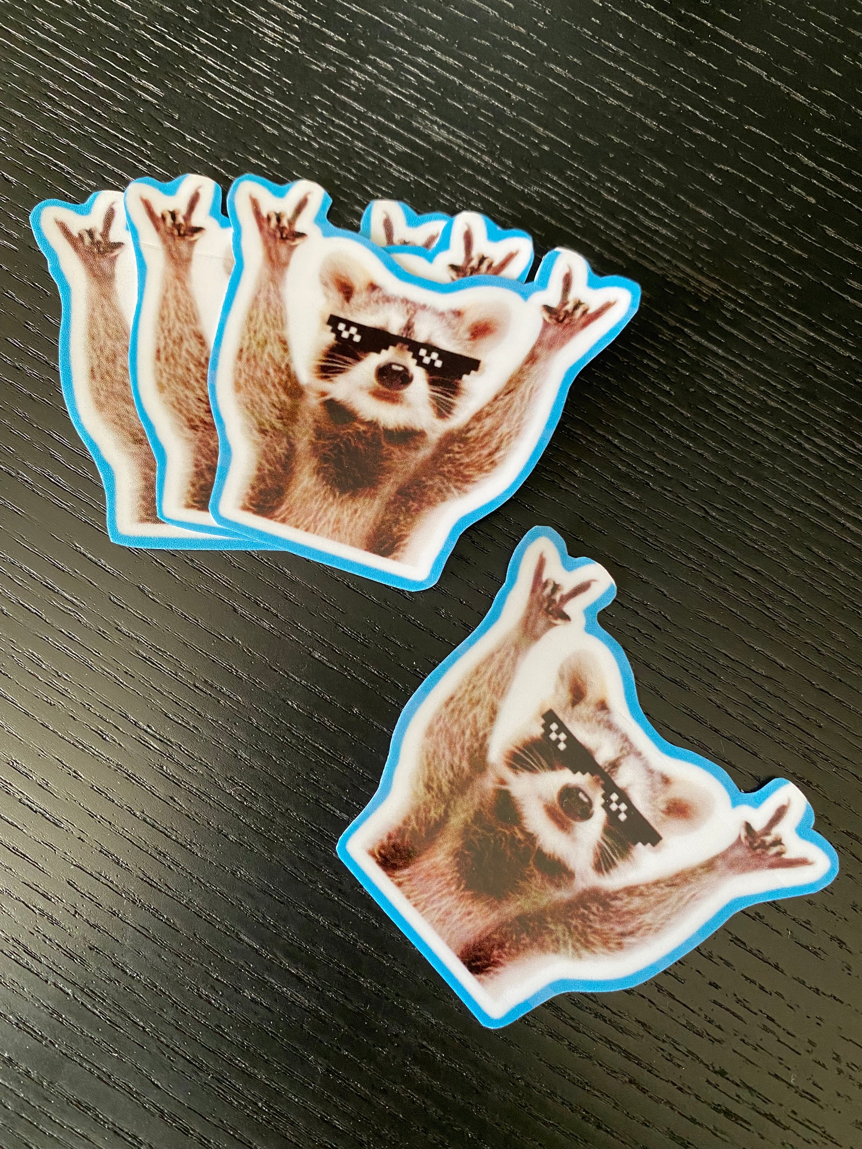 Sticker - Mapache